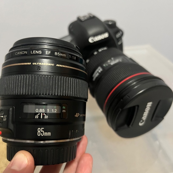 Canon Mark IV 5D camera and two lenses - Picture 2 of 4